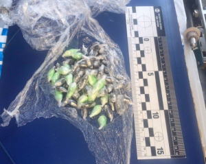 У Києві затримали чоловіка з наркотиками на 700 тисяч гривень