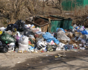 Из-за пожара в Грибовичах, львовян ждет мусорная катастрофа