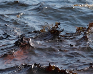 Вісім тонн мазуту вилилося в Чорне море біля Алупки - ЗМІ