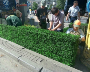 Бессарабську площу відгородили пластиковими кущами