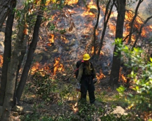 Лесной пожар заставил сотни людей покинуть свои дома