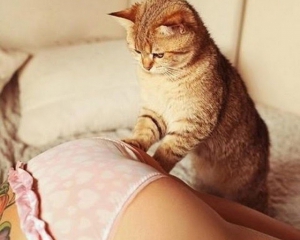 В Японии коты делают людям массаж