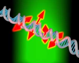 Американські науковці по-новому досліджуватимуть ДНК