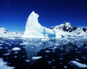 Ученые доказали, что водоросли ускоряют таяние арктического льда