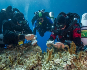 Археологи обнаружили античные находки на дне моря