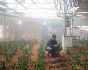 Ученые признали съедобными &quot;марсианские&quot; овощи и злаки