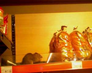 Пацюк їв хліб на прилавку в одному зі столичних супермаркетів