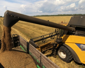 Украина побила рекорд в экспорте зерна