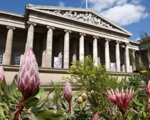Британский музей побил рекорды посещаемости