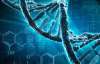 Дослідники навчились використовувати ДНК як двигун