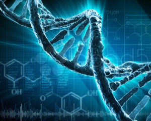 Дослідники навчились використовувати ДНК як двигун