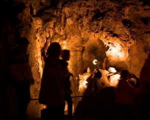 Бельгийские неандертальцы ели друг друга