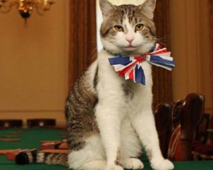 Девід Кемерон віддав свого кота новому британському прем&#039;єру