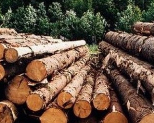 На Рівненщині затримали фуру з нелегально добутою деревиною