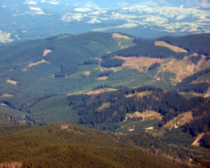 Гройсман наказав моніторити вирубку лісів з повітря