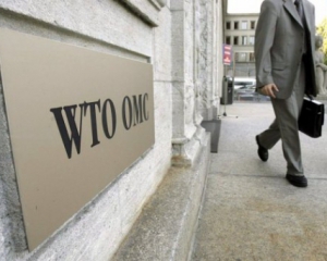 Украина на заседании ВТО: Россия должна немедленно отменить транзитные ограничения