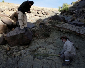 Боливийский гид обнаружил след динозавра