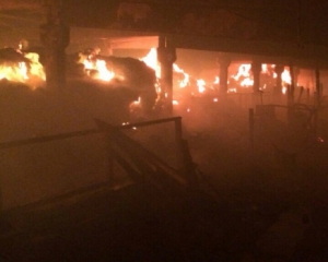 В пожаре на ферме под Киевом погибли более 100 животных