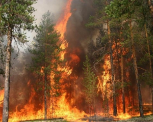 В Украине объявили высший уровень пожарной опасности