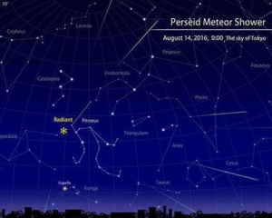 Украинцы смогут увидеть самый яркий звездопад года