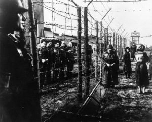 Розшукали ще 8 працівників нацистського концтабору