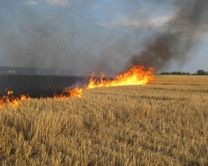 Жінка згоріла в полі разом з травою