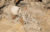 Археологи раскопали массовое захоронение людей во дворе музея