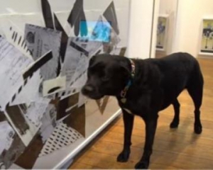 Відкрито першу в світі виставку спеціально для собак