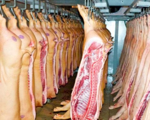 Одна з країн заборонила імпорт української свинини
