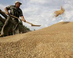 Росія збільшила вивіз зерна з окупованої території - Снєгирьов
