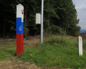 Словаки вывезли леса на 2 млн евро