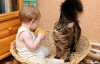 С появлением ребенка не обязательно выгонять кота - акушер