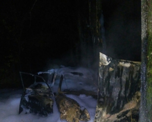 Водитель сгорел в легковушке посреди улицы