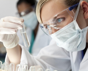 Вчені виявили новий вірус грипу, який переносять вівці