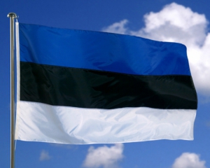 В Эстонии вновь состоятся выборы