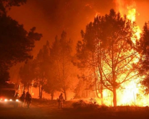 Калифорнию заполонил масштабный лесной пожар