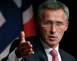 Столтенберг прокоментував перші результати розслідування катастрофи МН-17