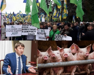 Министр Кутовый спрятался от митингующих на свиноферме