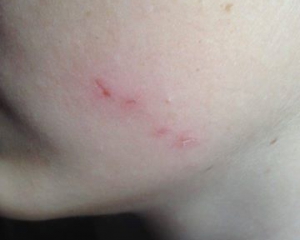 Учительница физкультуры избила учеников