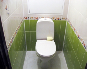 Вчені розповіли про небезпеку мікробів з туалетів