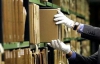 Как музейщики реставрируют архивные документы