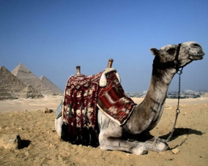Кличко раздал дорожникам путевки в Египет