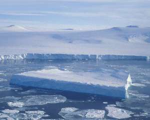 В Антарктике появится крупнейший в мире морской заповедник