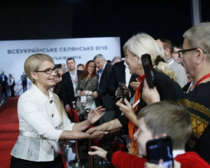 Сімейних ферм має бути у десятки разів більше - Тимошенко