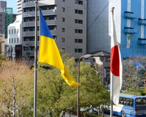 Японія виділить для жителів Донбасу $2,9 млн
