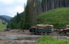 Москаль назвал неправдивой карту вырубки лесов Кутового