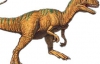 В Китае нашли останки неизвестного  вида динозавров