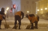 Вхурделило: столичні комунальники не встигають прибрати сніг