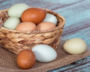 Антимонопольники шукають змову на ринку яєць