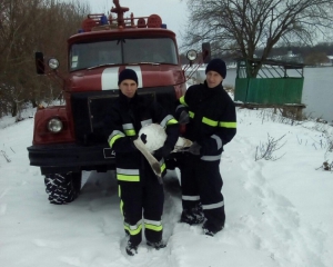Спасатели освободили лебедя из ледового плена